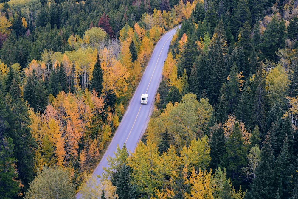 autumn overview autumn road